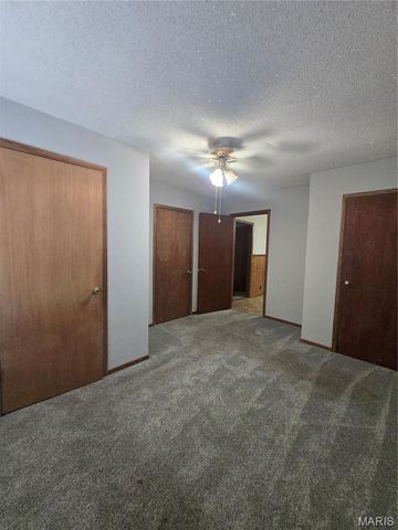 1301 N Carleton Street, Farmington, MO 63640