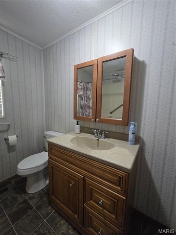 1301 N Carleton Street, Farmington, MO 63640