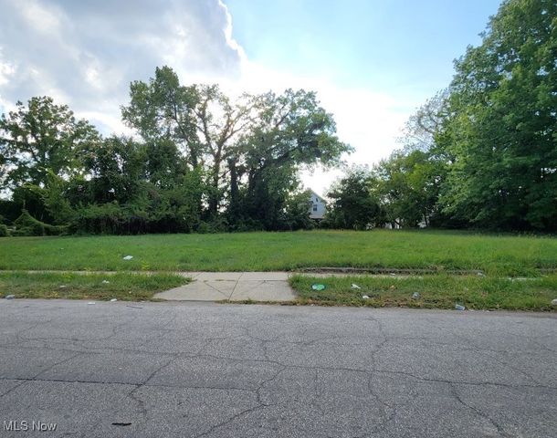 983 E 141st Street, Cleveland, OH 44110