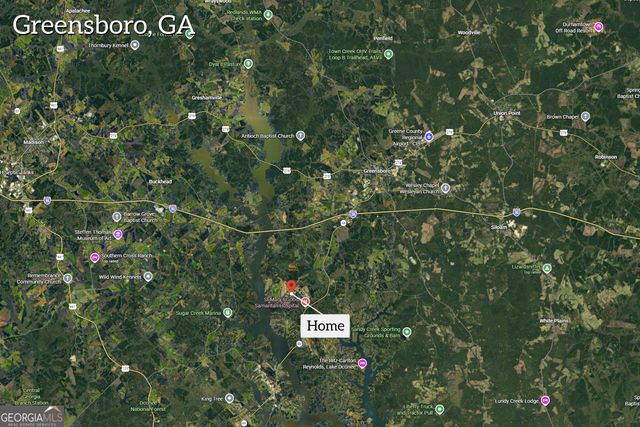 1010 Southern Pine Road, Greensboro, GA 30642