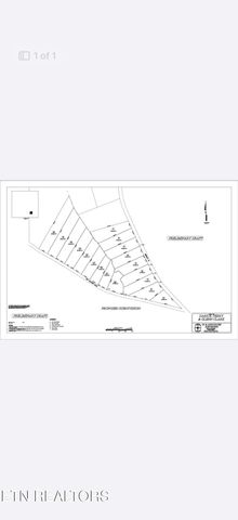 Allardt Hwy, Jamestown, TN 38556