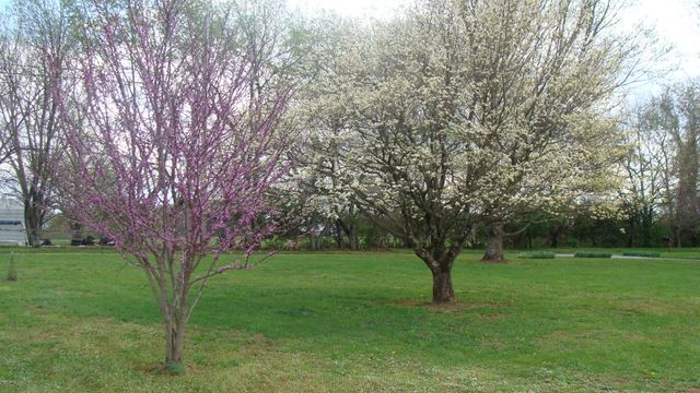 110 Trails End, Harrodsburg, KY 40330