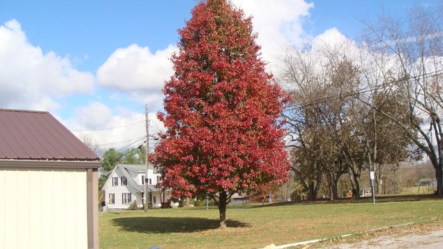 110 Trails End, Harrodsburg, KY 40330