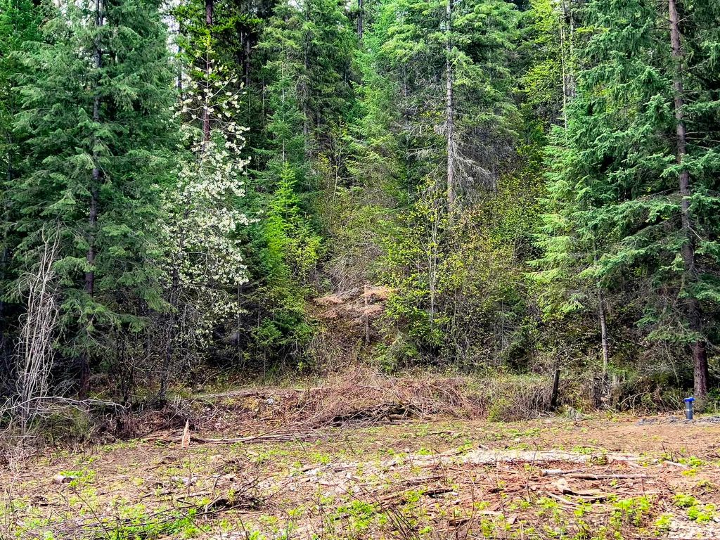 3308 Deep Lake Boundary Rd, Colville, WA 99114 photo 10