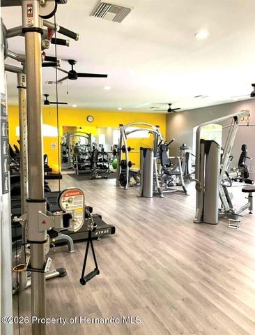 14316 Holly Hammock Lane, Brooksville, FL 34613