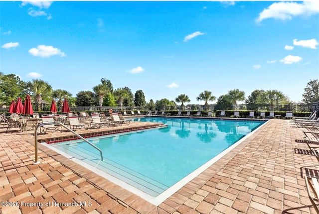 14316 Holly Hammock Lane, Brooksville, FL 34613