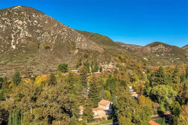 323 Alder, Lytle Creek, CA 92358