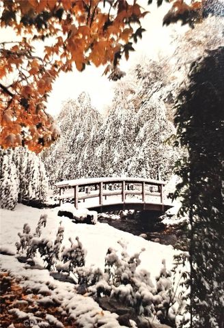 323 Alder, Lytle Creek, CA 92358