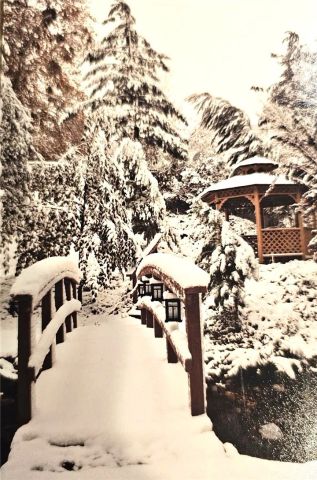 323 Alder, Lytle Creek, CA 92358