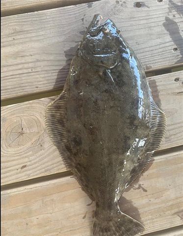 3969 Scenic Drive, Mobile, AL 36605