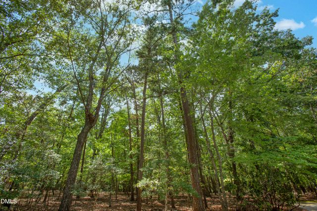 10824 Rondeau Woods Court, Raleigh, NC 27614