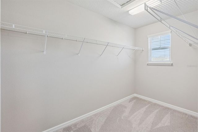 1318 PAINTED BUNTING AVENUE, Oakland, FL 34787