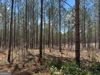 LOT 1 Lipham Road, Franklin, GA 30217