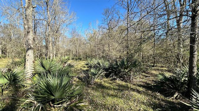 TBD Fm 2158, Midway, TX 75852