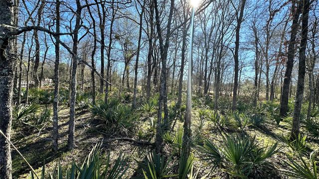 TBD Fm 2158, Midway, TX 75852