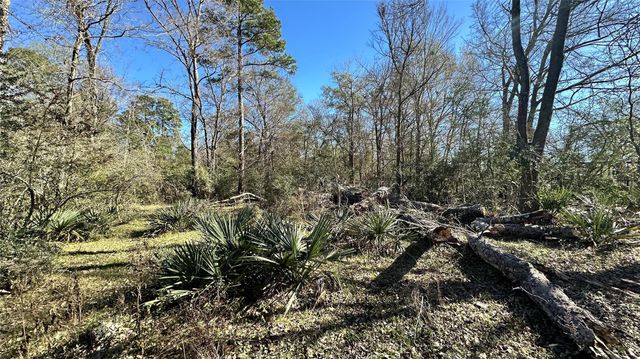 TBD Fm 2158, Midway, TX 75852