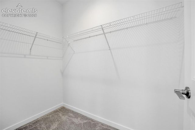 8172 Manor House Way, Colorado Springs, CO 80908