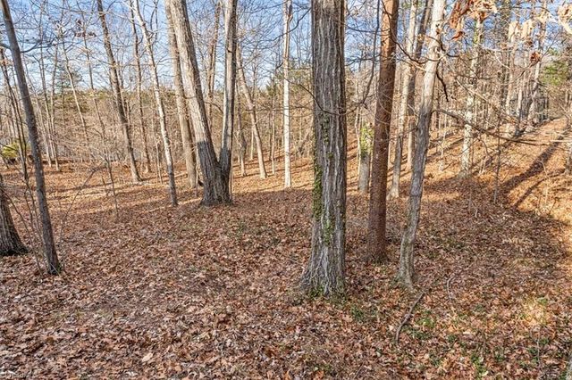 419 Chester Woods Court, High Point, NC 27262