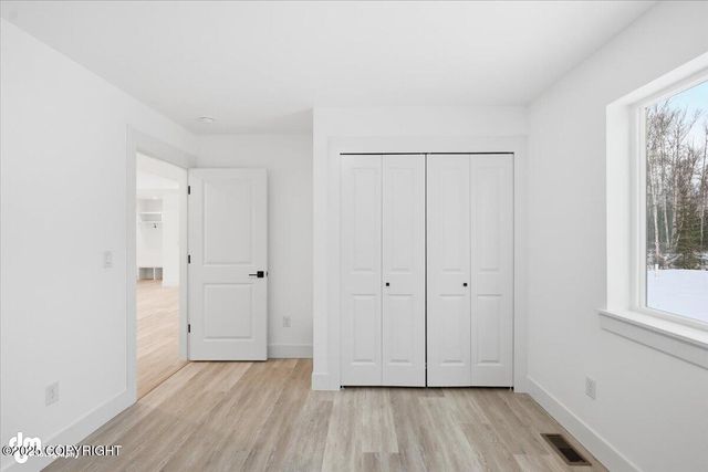 2145 N Skye Circle, Big Lake, AK 99654