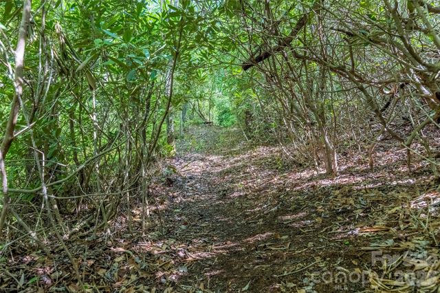 TBD Long Ridge Road, Lake Toxaway, NC 28747