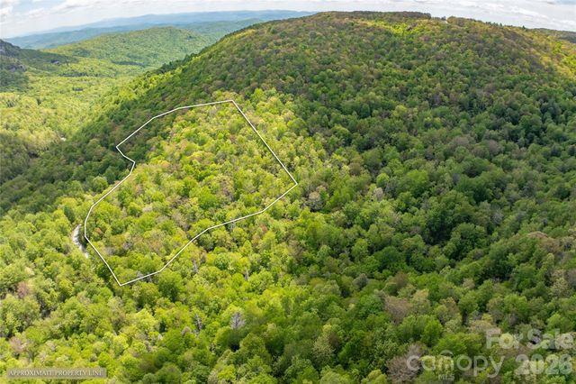 TBD Long Ridge Road, Lake Toxaway, NC 28747