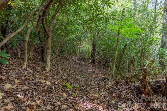 TBD Long Ridge Road, Lake Toxaway, NC 28747