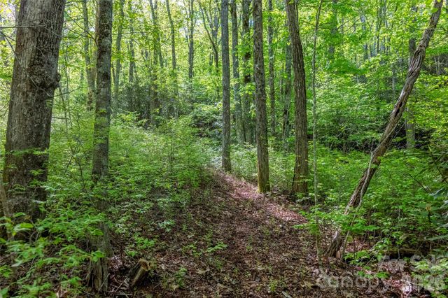 TBD Long Ridge Road, Lake Toxaway, NC 28747