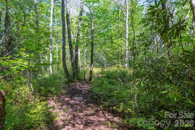 TBD Long Ridge Road, Lake Toxaway, NC 28747
