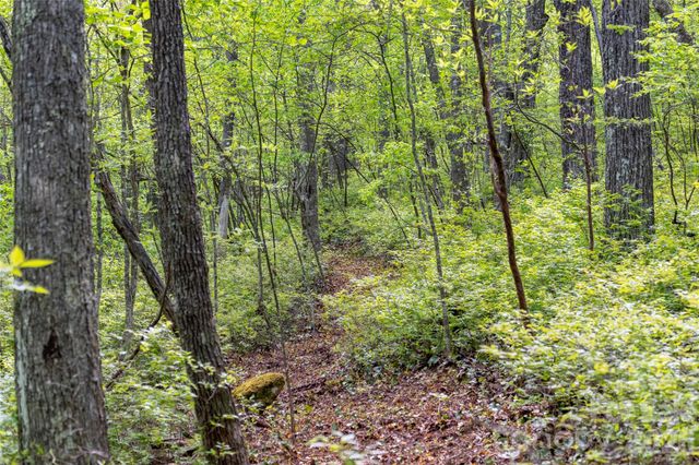 TBD Long Ridge Road, Lake Toxaway, NC 28747