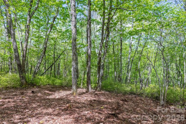 TBD Long Ridge Road, Lake Toxaway, NC 28747
