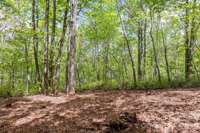 TBD Long Ridge Road, Lake Toxaway, NC 28747