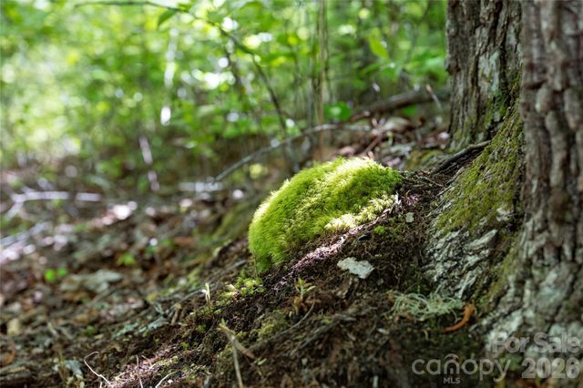 TBD Long Ridge Road, Lake Toxaway, NC 28747
