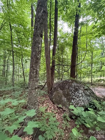 9999 Countryside Estate, Barnardsville, NC 28709