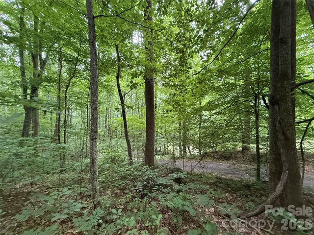 9999 Countryside Estate, Barnardsville, NC 28709