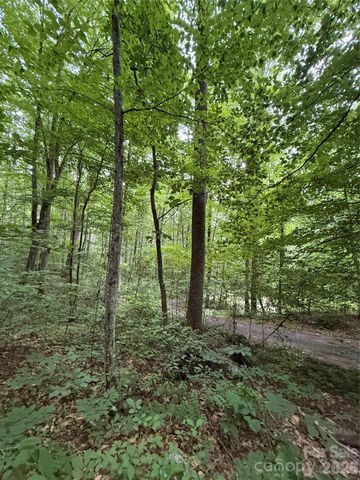 9999 Countryside Estate, Barnardsville, NC 28709