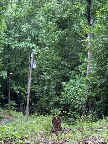 9999 Countryside Estate, Barnardsville, NC 28709