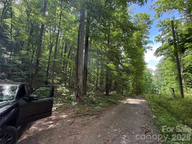 9999 Countryside Estate, Barnardsville, NC 28709