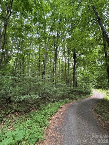 9999 Countryside Estate, Barnardsville, NC 28709