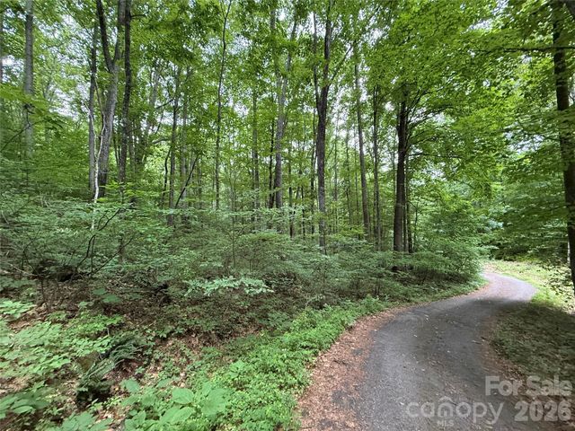 9999 Countryside Estate, Barnardsville, NC 28709
