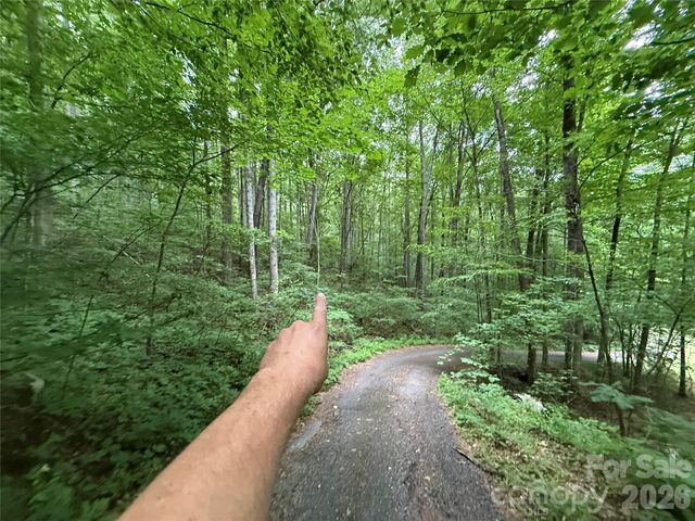 9999 Countryside Estate, Barnardsville, NC 28709