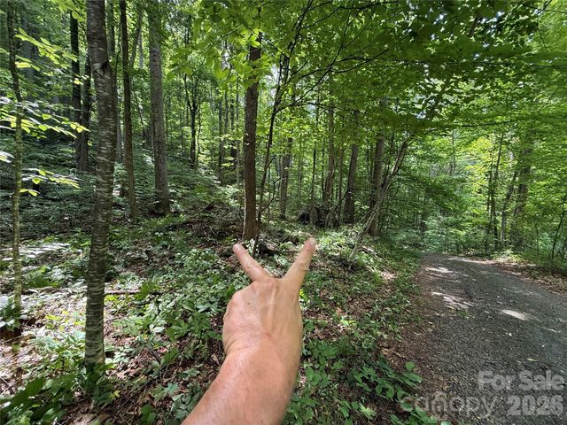 9999 Countryside Estate, Barnardsville, NC 28709