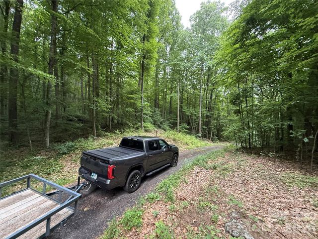 9999 Countryside Estate, Barnardsville, NC 28709
