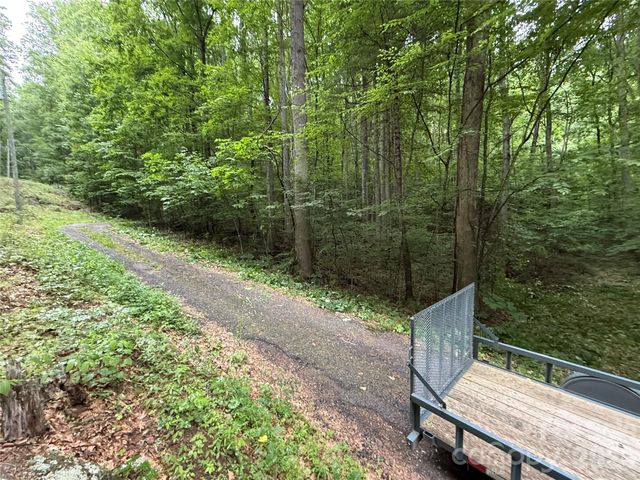 9999 Countryside Estate, Barnardsville, NC 28709