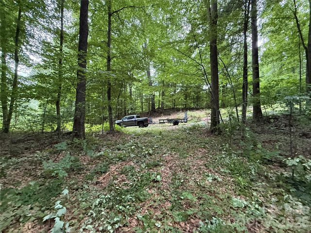 9999 Countryside Estate, Barnardsville, NC 28709
