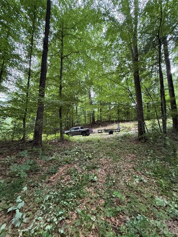 9999 Countryside Estate, Barnardsville, NC 28709