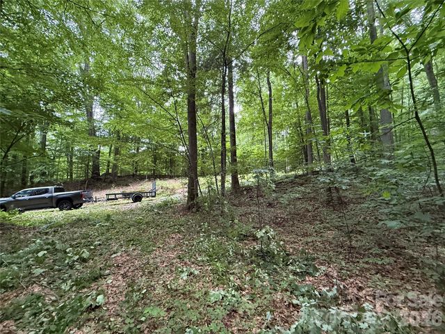 9999 Countryside Estate, Barnardsville, NC 28709