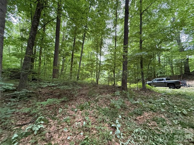 9999 Countryside Estate, Barnardsville, NC 28709