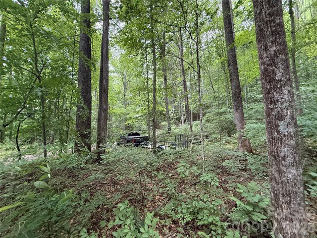 9999 Countryside Estate, Barnardsville, NC 28709
