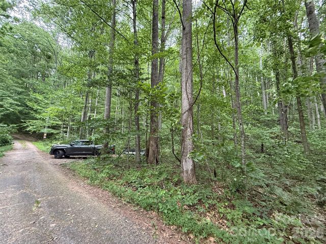 9999 Countryside Estate, Barnardsville, NC 28709