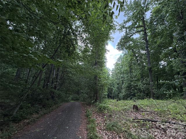 9999 Countryside Estate, Barnardsville, NC 28709